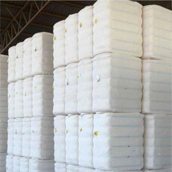 Cotton Bales